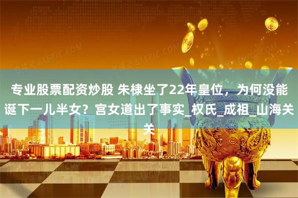 专业股票配资炒股 朱棣坐了22年皇位，为何没能诞下一儿半女？宫女道出了事实_权氏_成祖_山海关